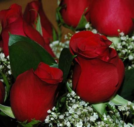 DSC_7697 080213 Perfect Roses.JPG