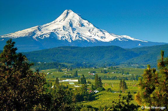 hood river valley x.jpg