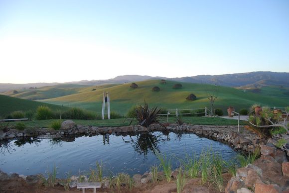 Pond Makeover 2008-03-04_7.JPG