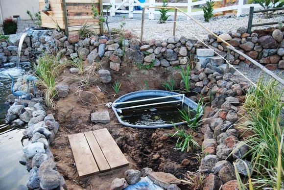 aYard 4-6-08 012.jpg