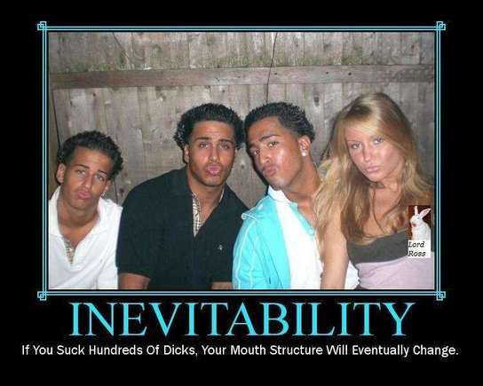 inev.jpg