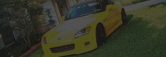 s in lawn2.jpg