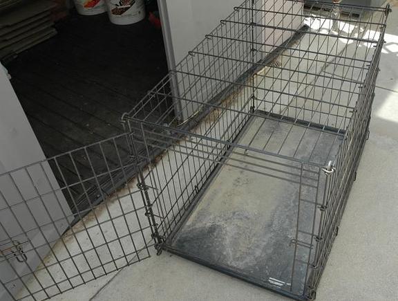 DSC_9162 080514 dog cage.JPG