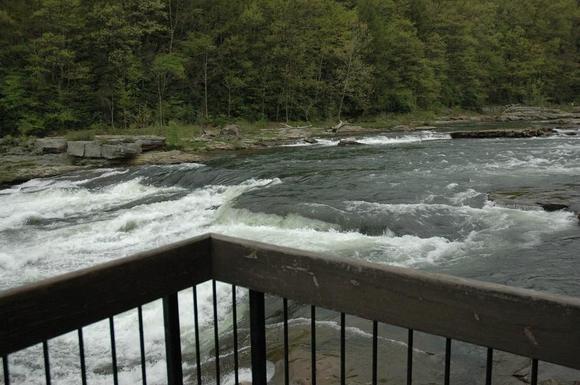 DSC_8951 080503 river.JPG