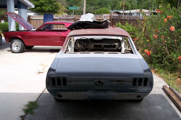 mustangs 002.JPG