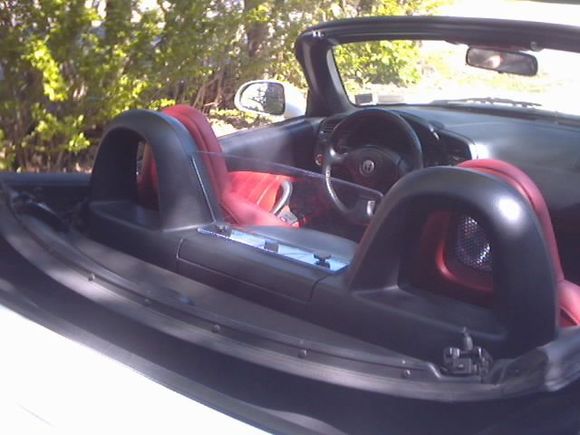 Picture 11.jpg