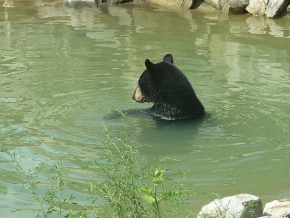 Vacation 2008 056.jpg