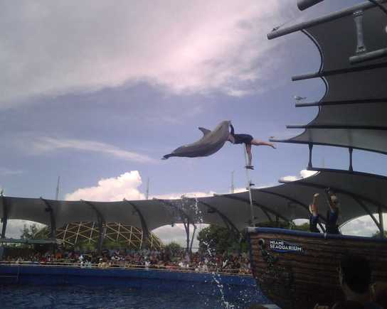 IMG00075.jpg