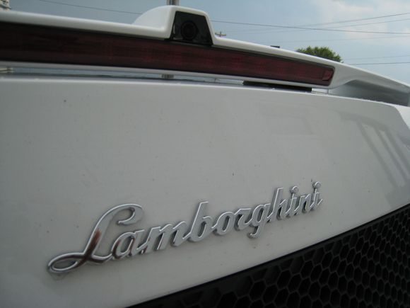 Lambo 8-16-08 036.jpg