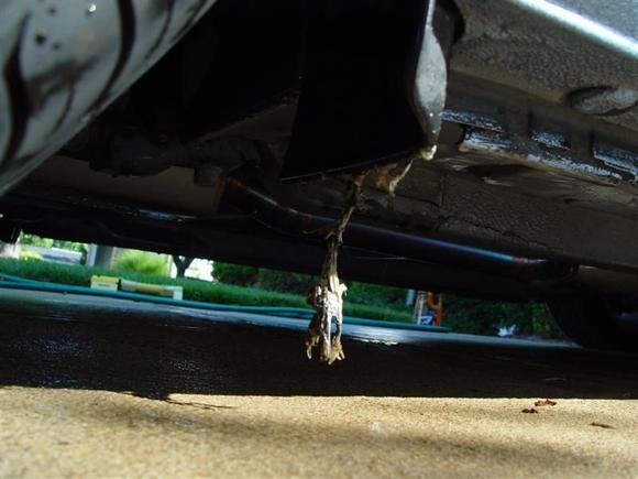 DSC02132 (Medium).JPG