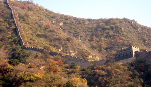 11-067 the overgrown great wall.jpg