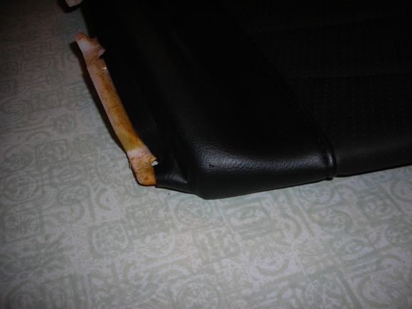DSCN0579.JPG