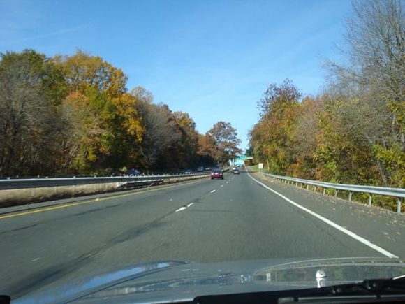 DSC02145a.jpg