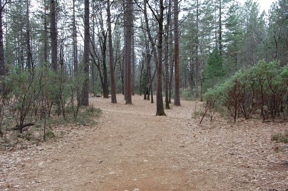 Hole 5.  Big hyzer over the fence on the left if you want to