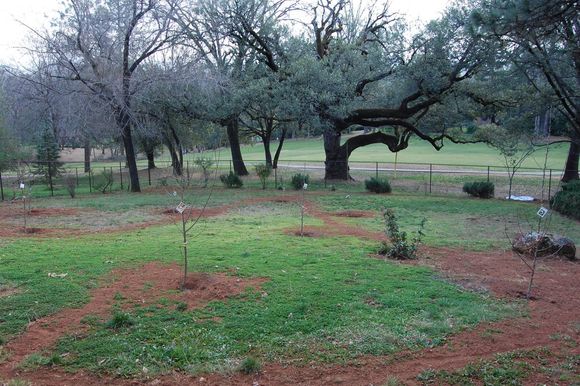 Orchard loop completed...  Closed loop / recirculating syste