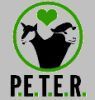 peterav.jpg