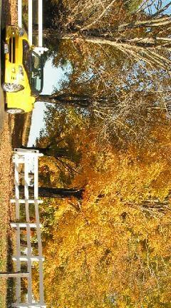 BB Fall Colors.JPG