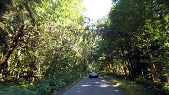 Q one lane road 3 x.jpg