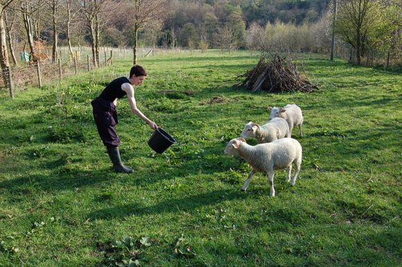 bucket training 2.jpg