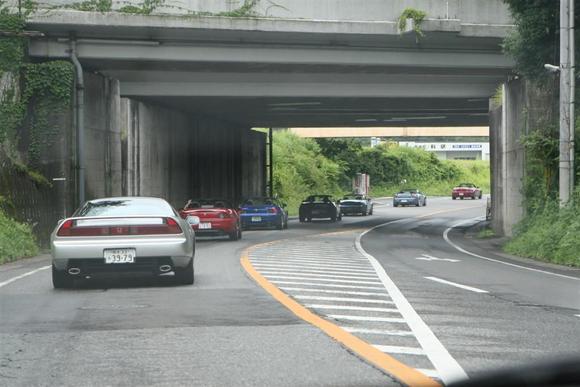 IMG_1693 (Large).JPG