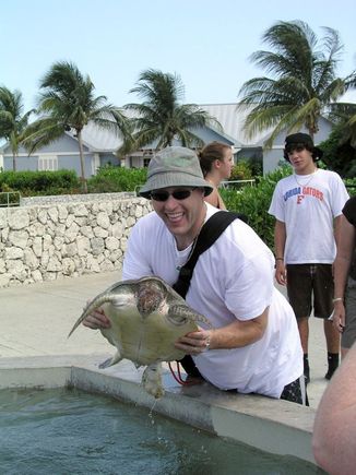 cruise006.jpg