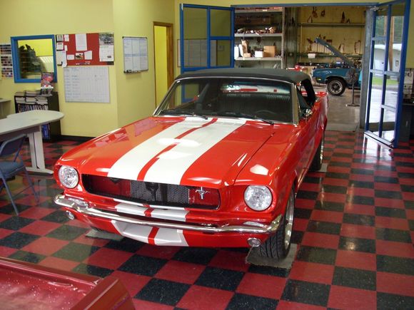 stang1.jpg