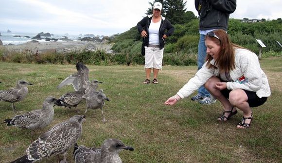 38 birds.jpg