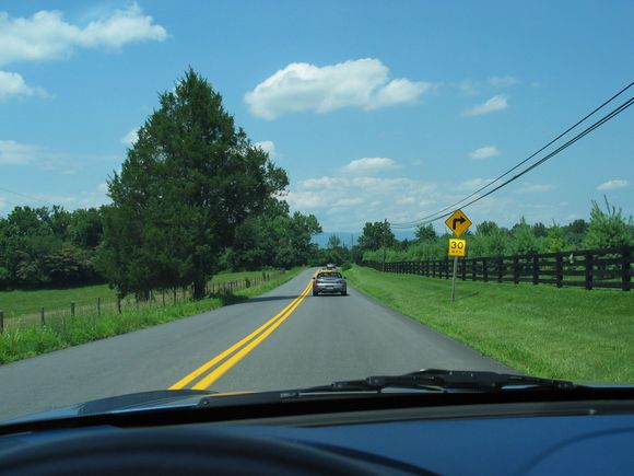 pic12.jpg
