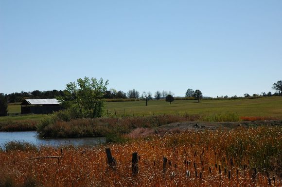 DSC_0176.JPG