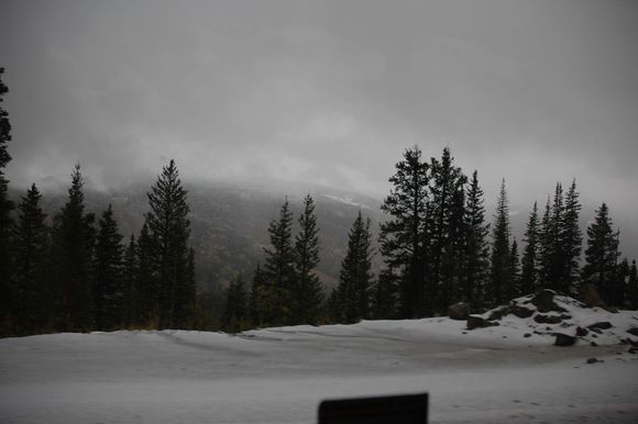 DSC_0492.JPG