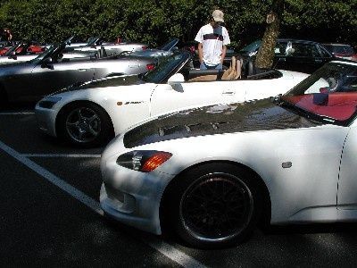 2 White Olephaunts.bmp