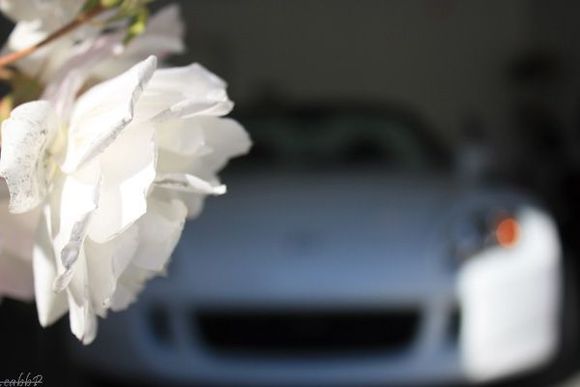 s2k1.jpg