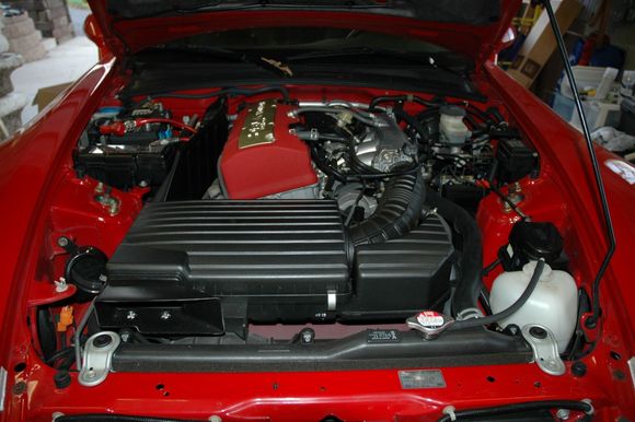 DSC_0045.JPG