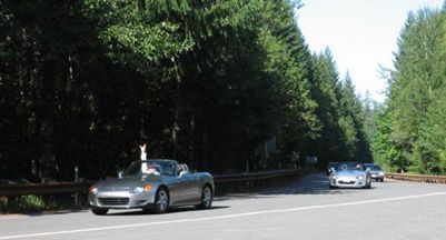 229.jpg