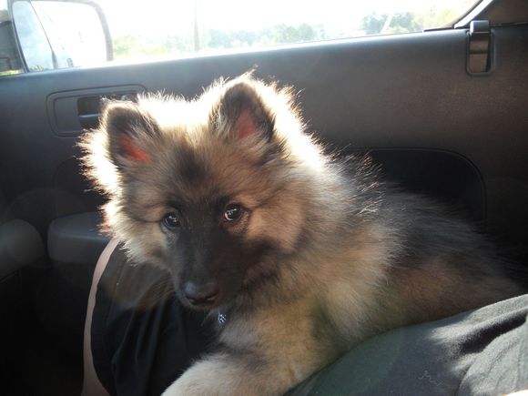 DSCN0453.JPG