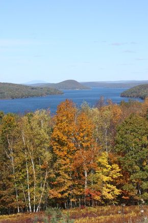 IMG_1165.jpg