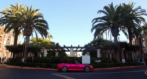 DSC_0483.jpg