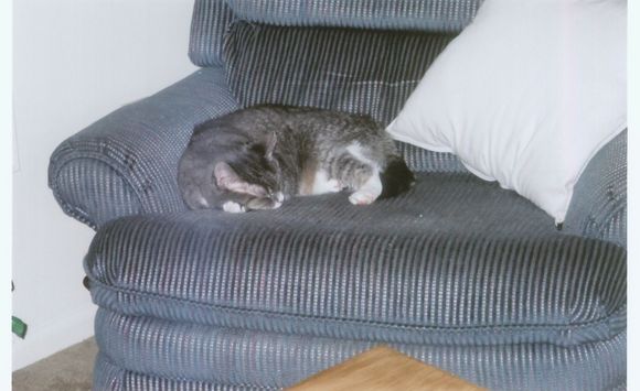 020_20.JPG