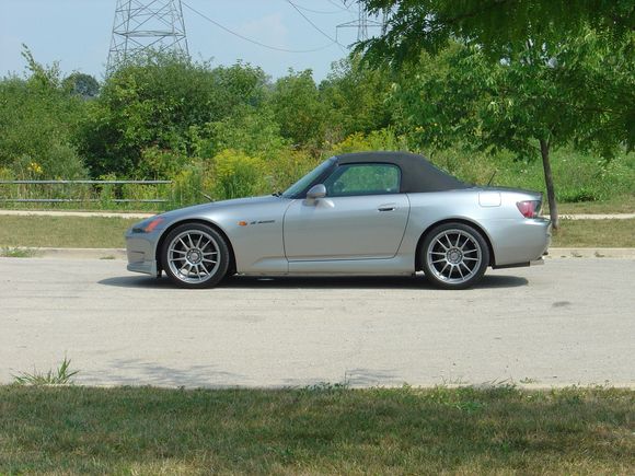 left side profile.jpg