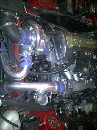 IMG-20110218-00095.jpg
