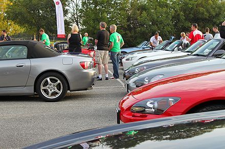IMG 4009