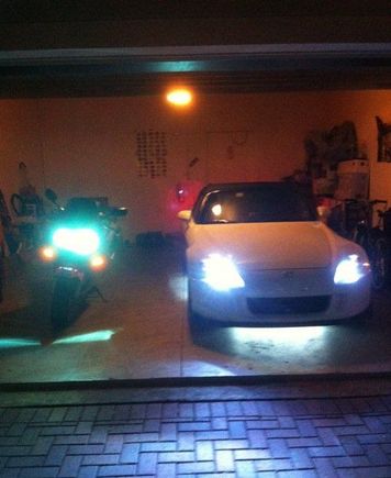 neons