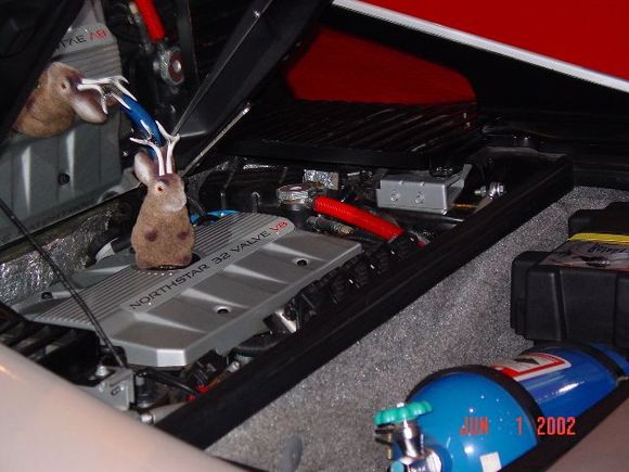 fiero engine.jpg