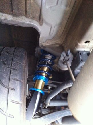 coils