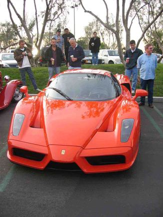 Enzo6.jpg
