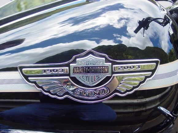 1903-2003 Tank Emblam.jpg