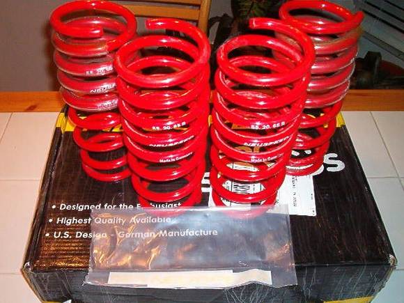 Neuspeed Springs 004.jpg