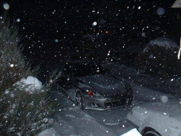 blizzard011304.jpg
