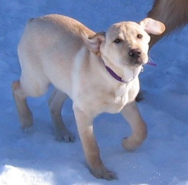 2maggie01-31.jpg