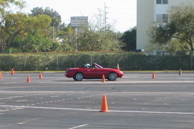 IMG_3976.jpg